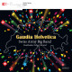 Swiss Army Big Band - Gaudia Helvetica_4373